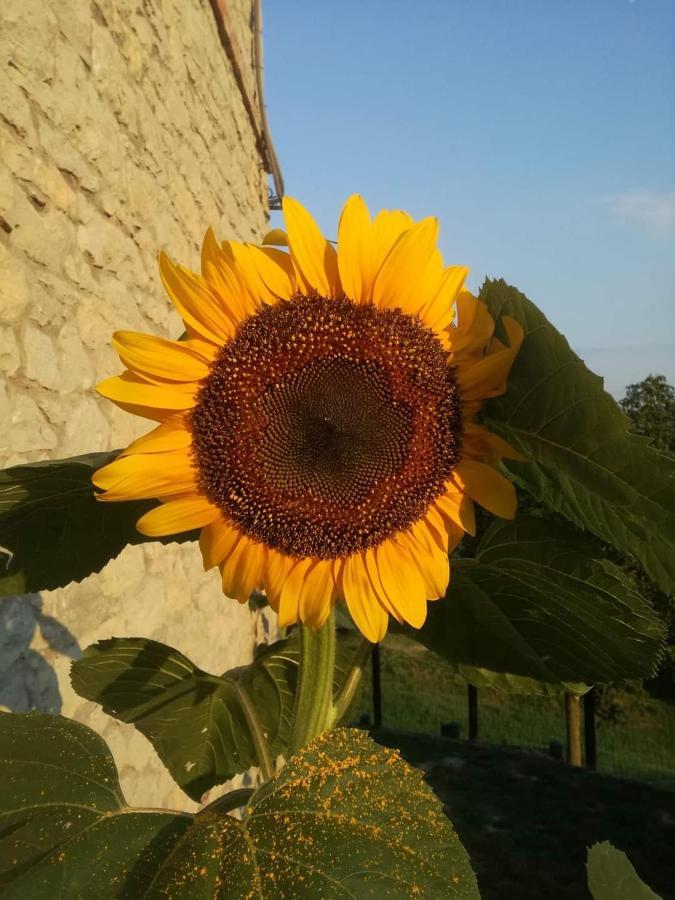 Bed and Breakfast Casale Monte Valestra Bebbio Экстерьер фото