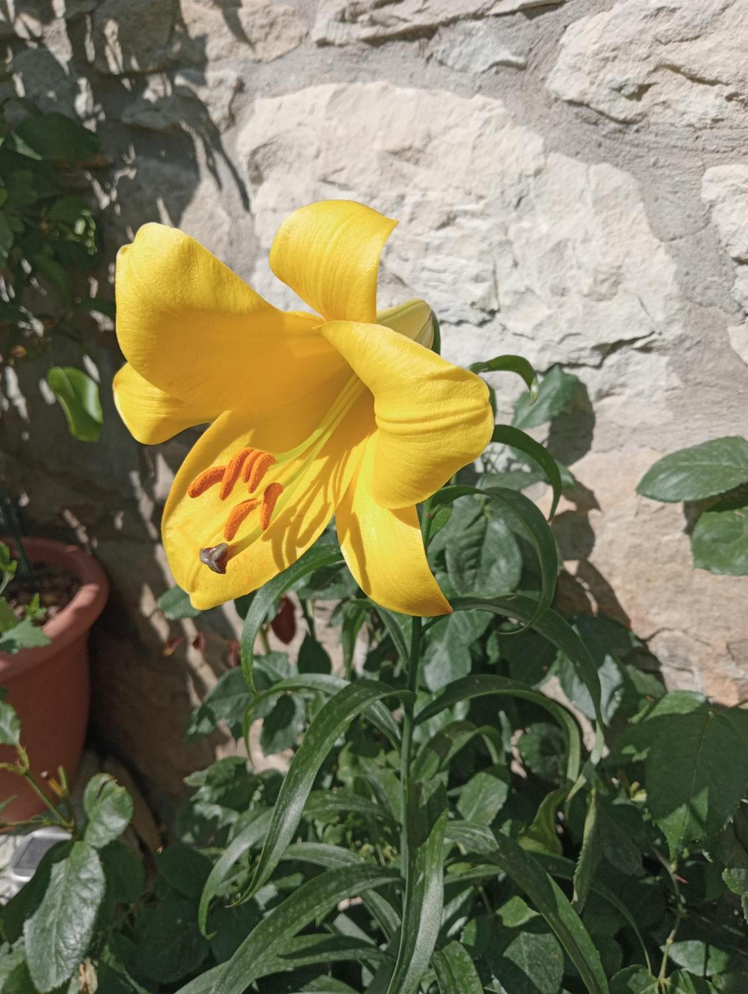 Bed and Breakfast Casale Monte Valestra Bebbio Номер фото