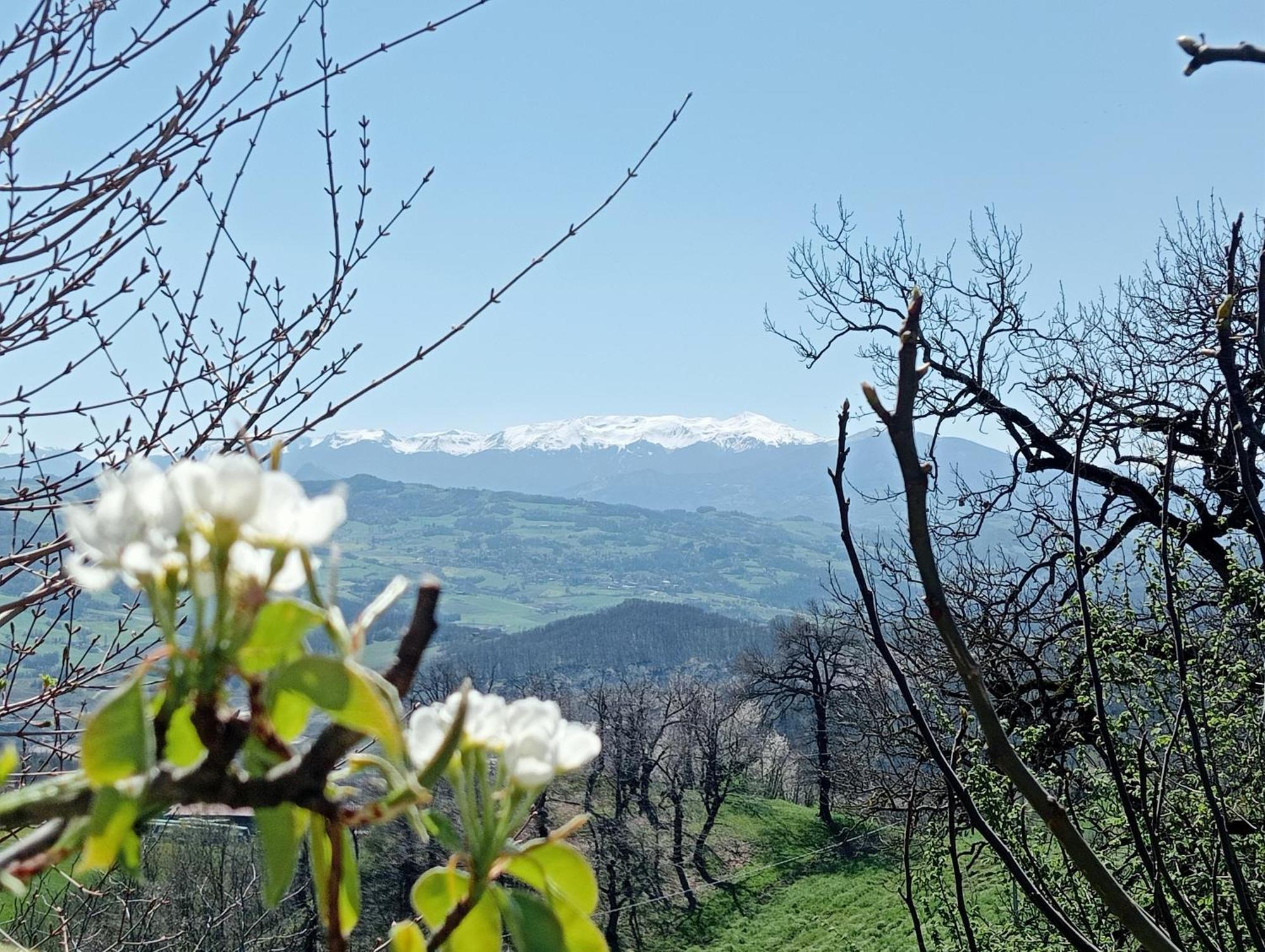 Bed and Breakfast Casale Monte Valestra Bebbio Экстерьер фото